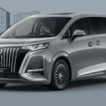 Denza D9