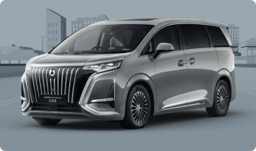 Denza D9