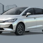 BYD M6