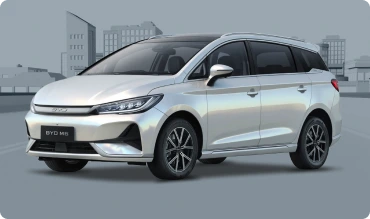 BYD M6